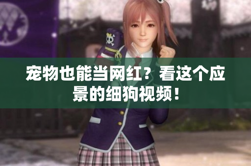 宠物也能当网红？看这个应景的细狗视频！