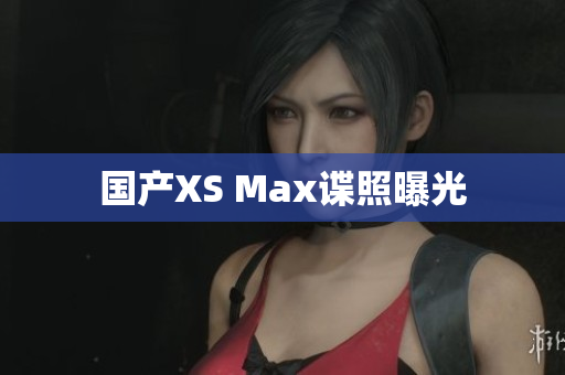 国产XS Max谍照曝光