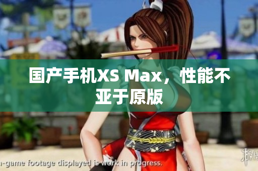 国产手机XS Max，性能不亚于原版