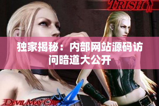 独家揭秘：内部网站源码访问暗道大公开