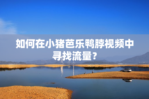如何在小猪芭乐鸭脖视频中寻找流量？