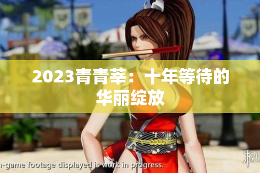 2023青青莘：十年等待的华丽绽放