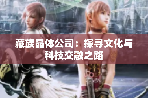 藏族晶体公司：探寻文化与科技交融之路