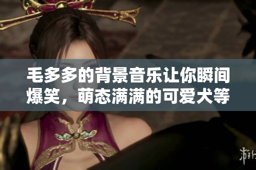毛多多的背景音乐让你瞬间爆笑，萌态满满的可爱犬等你来撩