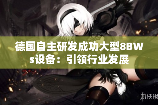 德国自主研发成功大型8BWs设备：引领行业发展