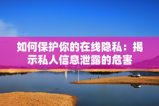 如何保护你的在线隐私：揭示私人信息泄露的危害