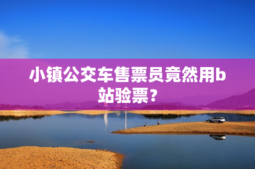 小镇公交车售票员竟然用b站验票？