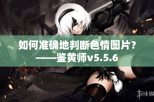 如何准确地判断色情图片？——鉴黄师v5.5.6