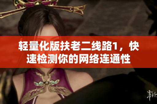 轻量化版扶老二线路1，快速检测你的网络连通性