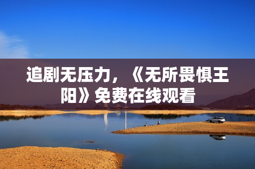 追剧无压力，《无所畏惧王阳》免费在线观看