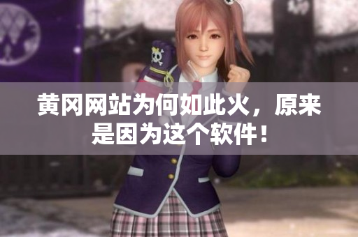 黄冈网站为何如此火，原来是因为这个软件！