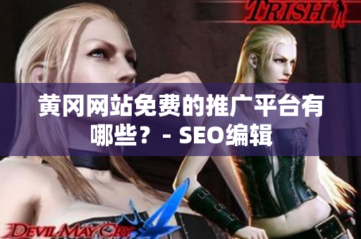 黄冈网站免费的推广平台有哪些？- SEO编辑