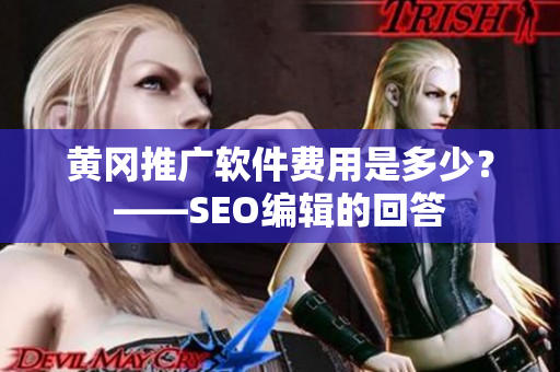 黄冈推广软件费用是多少？——SEO编辑的回答