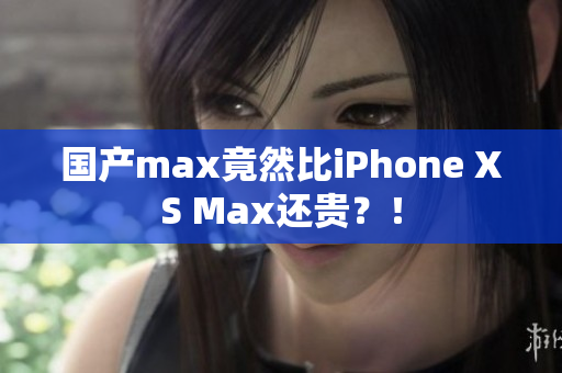国产max竟然比iPhone XS Max还贵？！
