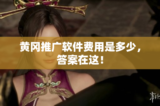 黄冈推广软件费用是多少，答案在这！