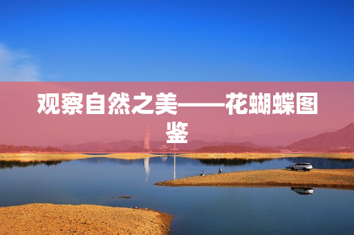 观察自然之美——花蝴蝶图鉴