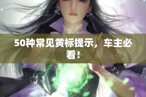 50种常见黄标提示，车主必看！