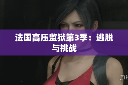 法国高压监狱第3季：逃脱与挑战