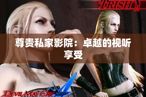 尊贵私家影院：卓越的视听享受