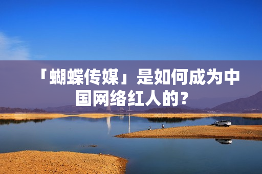 「蝴蝶传媒」是如何成为中国网络红人的？