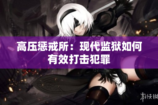 高压惩戒所：现代监狱如何有效打击犯罪