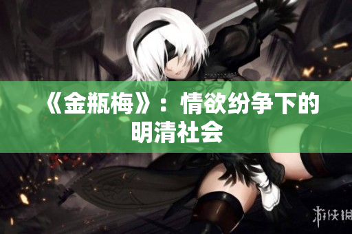 《金瓶梅》：情欲纷争下的明清社会
