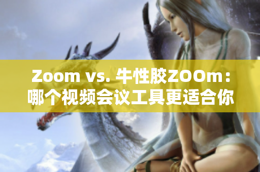 Zoom vs. 牛性胶ZOOm：哪个视频会议工具更适合你？