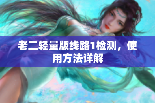 老二轻量版线路1检测，使用方法详解