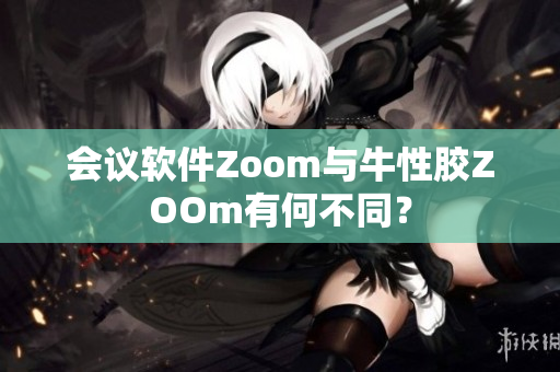 会议软件Zoom与牛性胶ZOOm有何不同？