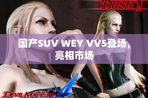 国产SUV WEY VV5登场，亮相市场