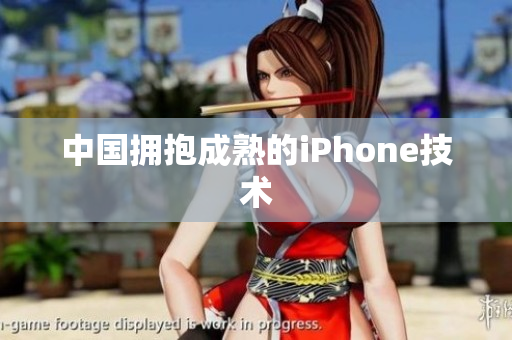 中国拥抱成熟的iPhone技术
