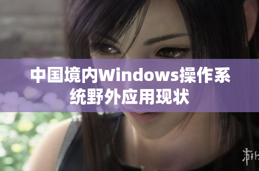 中国境内Windows操作系统野外应用现状
