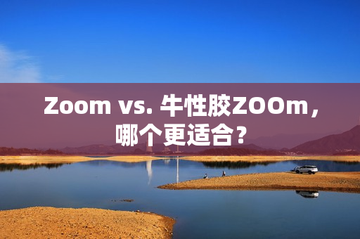 Zoom vs. 牛性胶ZOOm，哪个更适合？