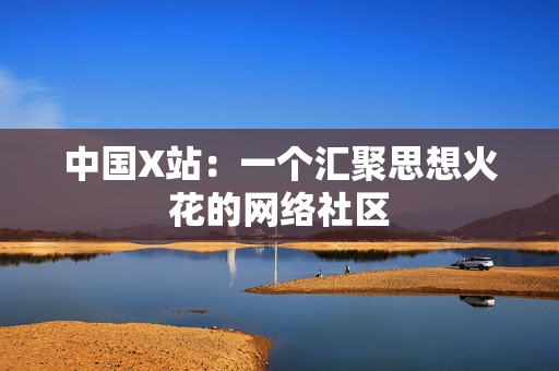 中国X站：一个汇聚思想火花的网络社区