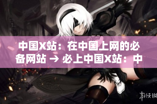 中国X站：在中国上网的必备网站 → 必上中国X站：中国网民的最爱