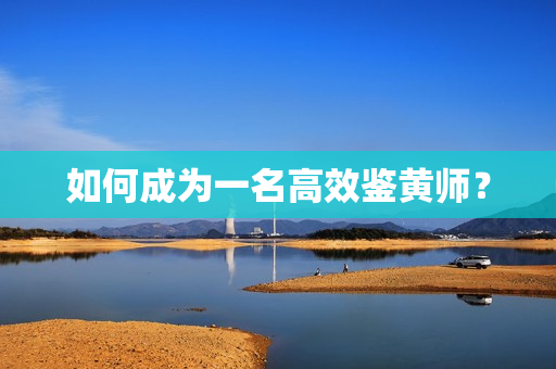 如何成为一名高效鉴黄师？