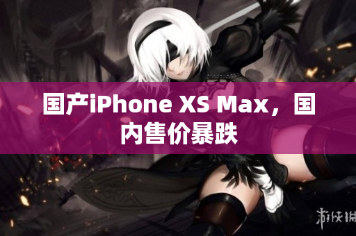 国产iPhone XS Max，国内售价暴跌