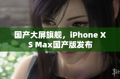国产大屏旗舰，iPhone XS Max国产版发布