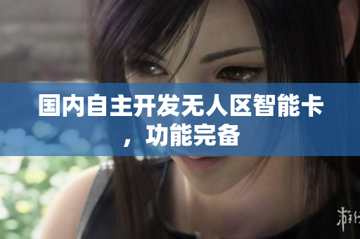 国内自主开发无人区智能卡，功能完备