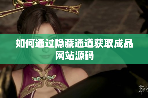 如何通过隐藏通道获取成品网站源码