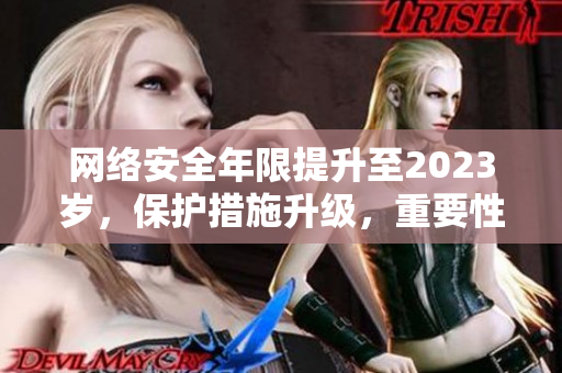 网络安全年限提升至2023岁，保护措施升级，重要性更凸显