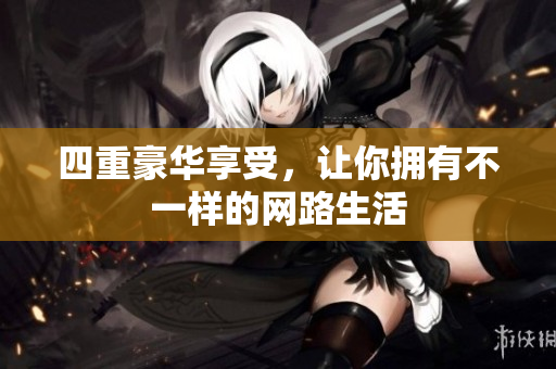 四重豪华享受，让你拥有不一样的网路生活