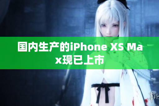 国内生产的iPhone XS Max现已上市