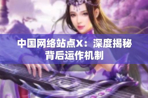 中国网络站点X：深度揭秘背后运作机制