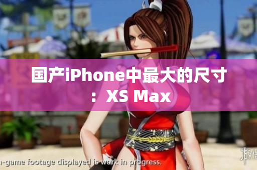 国产iPhone中最大的尺寸：XS Max