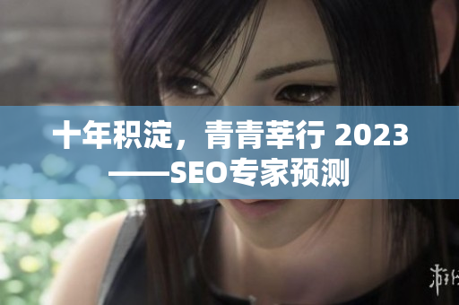 十年积淀，青青莘行 2023——SEO专家预测