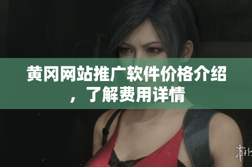 黄冈网站推广软件价格介绍，了解费用详情