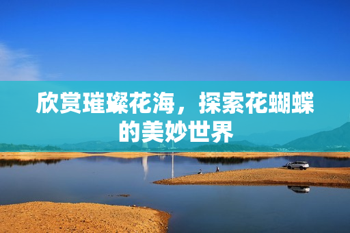 欣赏璀璨花海，探索花蝴蝶的美妙世界
