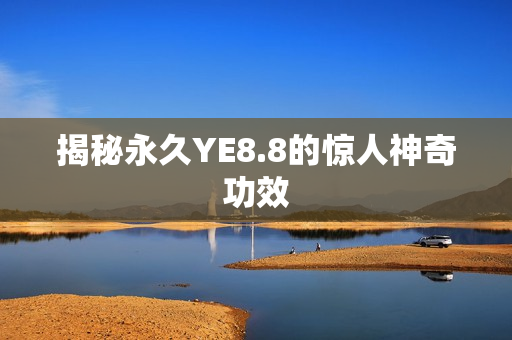 揭秘永久YE8.8的惊人神奇功效