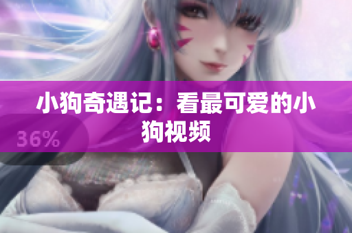小狗奇遇记：看最可爱的小狗视频